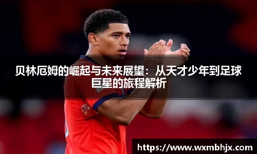 欧陆app
