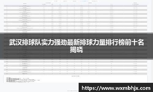 武汉排球队实力强劲最新排球力量排行榜前十名揭晓